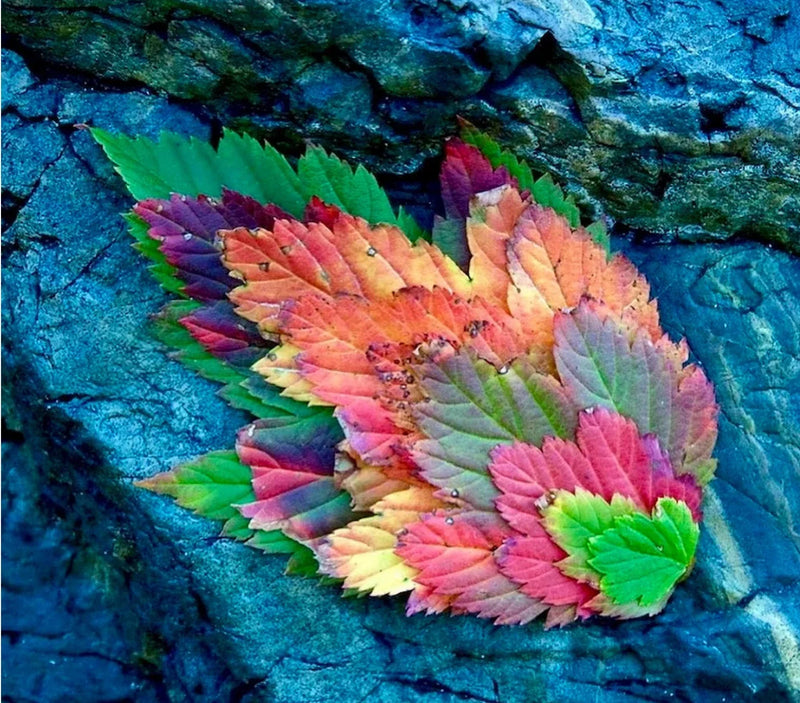 Never Stop Camping (even when it gets cold)